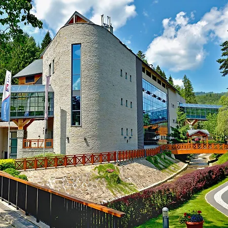 Czarny Potok & Conference