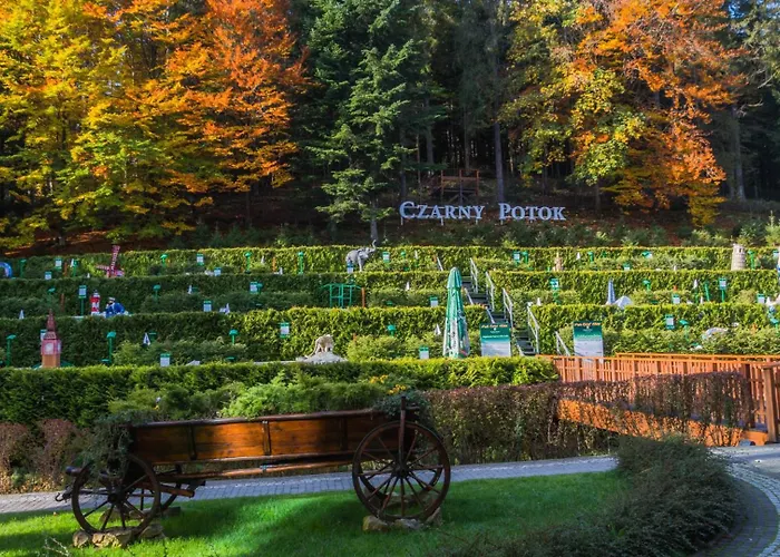 Czarny Potok & Conference 5*