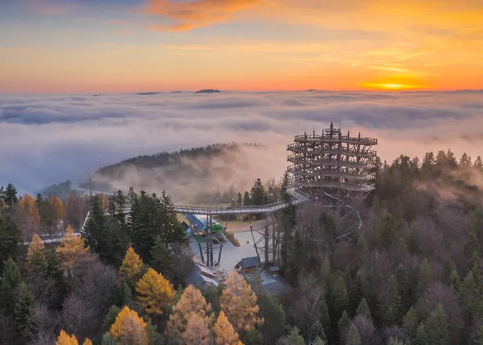 Hotel Czarny Potok & Conference 5*