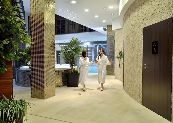 Czarny Potok & Conference Krynica-Zdrój