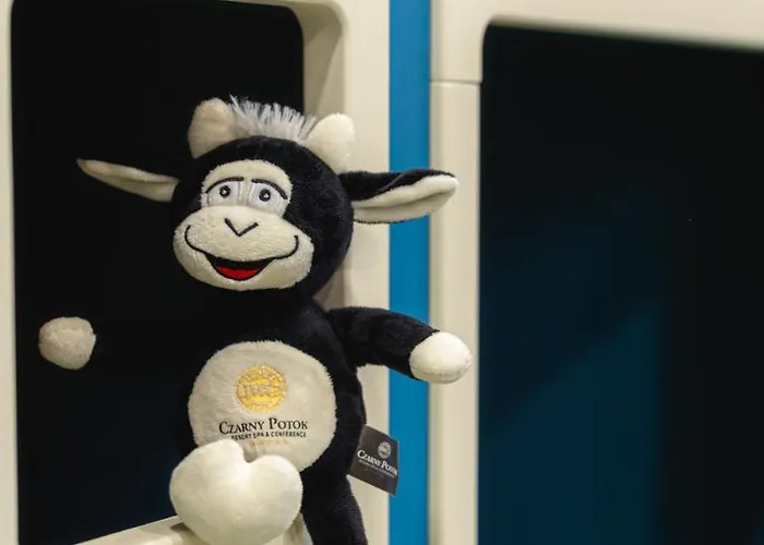 Czarny Potok & Conference Hotel 5*